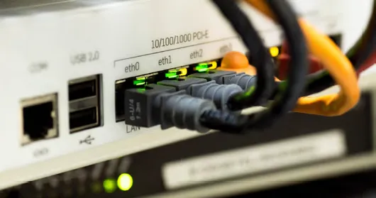 Cables connected to a network switch